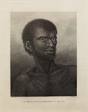 Title: bA man of Van Diemen's Land | Date: 1784 | Technique: b'engraving, printed in black ink, from one plate'