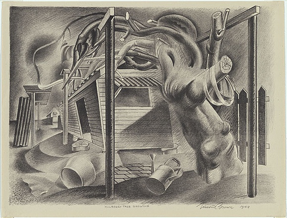 Artist: b'Brown, Vincent.' | Title: b'Mulberry tree growing.' | Date: 1948 | Technique: b'chalk-lithograph, printed in black ink, from one aluminium plate'