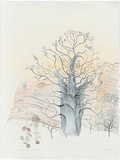 Artist: Bradhurst, Jane. | Title: Ancient boab, Hidden Valley, Kimberley. | Date: 1997 | Technique: lithograph, printed in colour, from multiple stones; hand-coloured