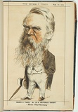 Title: b'A Victorian knight [Sir James McCulloch K.C.M.G.].' | Date: 28 February 1874 | Technique: b'lithograph, printed in colour, from multiple stones'