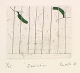 Artist: b'Fransella, Graham.' | Title: b'Zoo-chini'. | Date: 1981 | Technique: b'etching and foul-biting, printed in black ink, from one plate; hand-coloured' | Copyright: b'Courtesy of the artist'