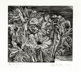 Artist: MILLER, Max | Title: Foliage, flowers, daisies | Date: 1970 | Technique: wood-engraving, printed in black ink, from one block
