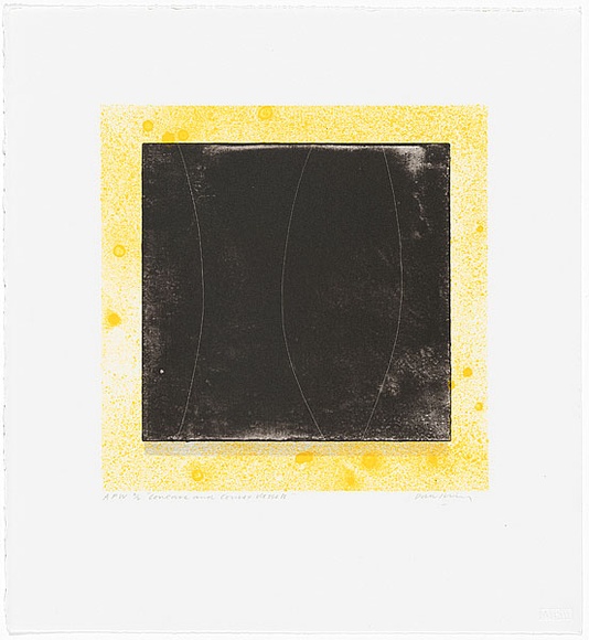 Artist: b'Hickey, Dale.' | Title: b'Concave and convex vessels' | Date: 1993 | Technique: b'lithograph, printed in yellow and black ink, from two stones'