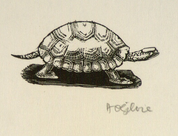 Artist: b'OGILVIE, Helen' | Title: b'not titled [Tortoise ]' | Date: (1947) | Technique: b'wood-engraving, printed in black ink, from one block'