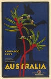 Artist: TROMPF, Percy | Title: Kangaroo Paws, Western Australian Wildflowers, Australia. | Date: (1930s) | Technique: lithograph, printed in colour, from multiple stones