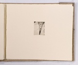 Artist: b'Mann, Gillian.' | Title: b'Text.' | Date: 1981 | Technique: b'etching, printed in black ink, from one plate'