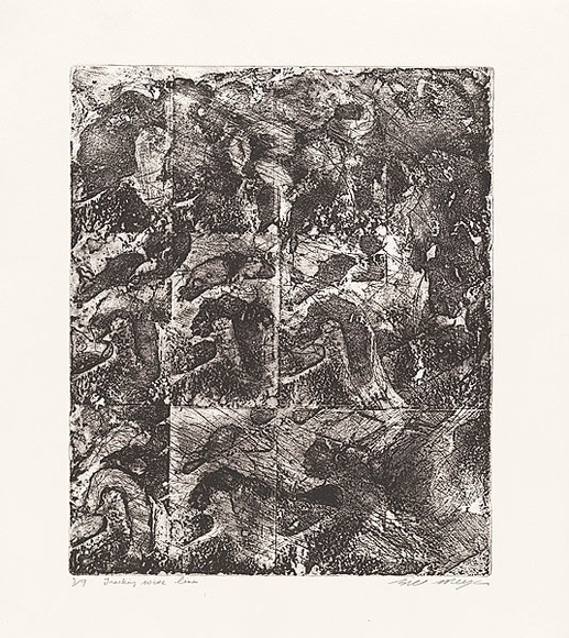 Artist: b'MEYER, Bill' | Title: b'Tracking with lines' | Date: 1981 | Technique: b'etching, aquatint and drypoint, printed in black ink, from one zinc plate (photo-etch)' | Copyright: b'\xc2\xa9 Bill Meyer'