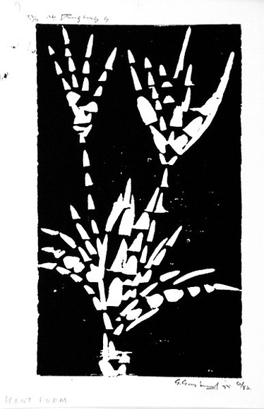 Artist: b'Grey-Smith, Guy' | Title: b'Plant form' | Date: 1975 | Technique: b'linocut, printed in black ink, from one block'