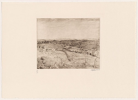 Artist: Rees, Lloyd. | Title: North West Tasmania | Date: 1977 | Technique: softground-etching, printed in brown ink, from one zinc plate | Copyright: © Alan and Jancis Rees