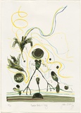 Artist: b'Olsen, John.' | Title: b'Rainbow bird and frog.' | Date: 1979 | Technique: b'screenprint, printed in colour, from 18 stencils' | Copyright: b'\xc2\xa9 John Olsen. Licensed by VISCOPY, Australia'