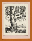 Title: Exhibition catalogue and invitation: John A. Gardner exhibition, Balmoral Art Galleries, Fyansford. | Date: 1975 | Technique: lithograph; letterpress