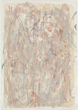 Artist: b'MEYER, Bill' | Title: b'Porcupine Ridge ochre' | Date: 1988 | Technique: b'screenprint, printed in colour, from multiple stencils' | Copyright: b'\xc2\xa9 Bill Meyer'