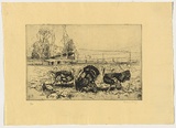 Artist: b'LONG, Sydney' | Title: b'Turkeys and pumpkins' | Date: 1925 | Technique: b'line-etching and drypoint, printed in black ink with plate-tone, from one copper plate' | Copyright: b'Reproduced with the kind permission of the Ophthalmic Research Institute of Australia'