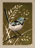 Artist: Palmer, Ethleen. | Title: (Blue wren) | Date: c.1955 | Technique: screenprint, printed in colour, from multiple stencils