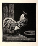 Artist: LINDSAY, Lionel | Title: Spangles | Date: 1925 | Technique: wood-engraving, printed in black ink, from one block | Copyright: Courtesy of the National Library of Australia