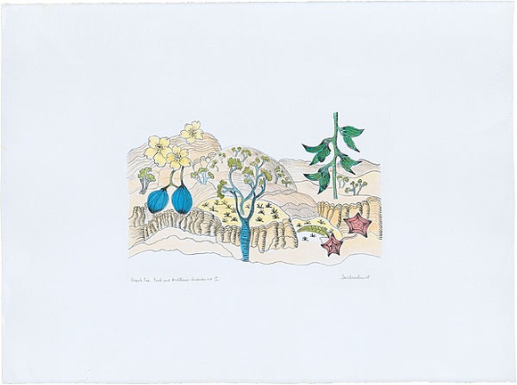Artist: Bradhurst, Jane. | Title: Kapok tree, boab and birdflower, Kimberley WA. | Date: 1997 | Technique: lithograph, printed in colour, from multiple stones; hand-coloured