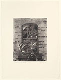 Artist: b'EWINS, Rod' | Title: b'Tasmanian Landscape.' | Date: 1997, September | Technique: b'photo-etching and aquatint, printed in black ink, from one plate'
