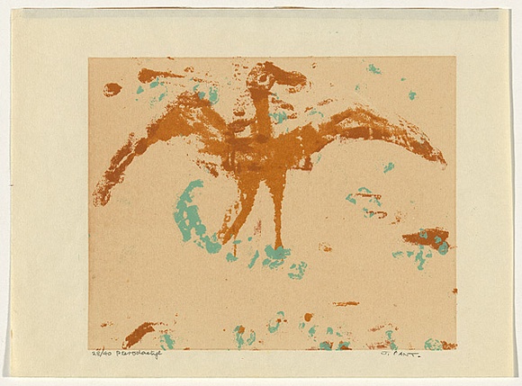 Artist: b'Cant, James.' | Title: b'Pterodactyl.' | Date: c.1970 | Technique: b'screenprint, printed in colour, from three stencils'