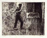 Artist: b'Warner, Alfred Edward.' | Title: b'Feller' | Date: 1935 | Technique: b'etching, printed in black ink, from one copper plate'
