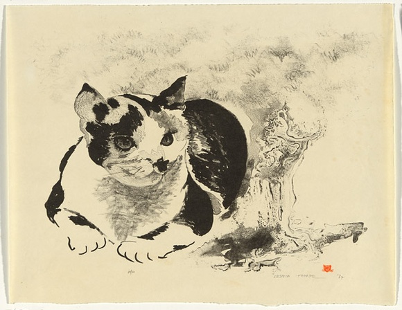 Artist: b'Thorpe, Lesbia.' | Title: b'not titled [cat]' | Date: 1984 | Technique: b'lithograph, printed in black ink, from one stone'