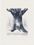 Artist: b'Russell,, Deborah.' | Title: b'Forest I' | Date: 2000, May | Technique: b'lithograph, printed in blue ink from one stone'