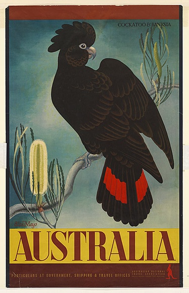 Artist: b'Mayo, Eileen.' | Title: b'Australia (Cockatoo and Banksia)' | Date: (1956) | Technique: b'lithograph, printed in colour, from multiple plates'