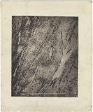 Artist: b'Nolan, Sidney.' | Title: b'(Fish, person forms)' | Date: 1958 | Technique: b'deep etch and aquatint, printed in black ink, from one plate'