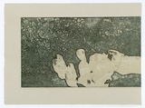 Artist: HODGKIN, Jonathan | Title: Envoy [1] | Date: 1995 | Technique: etching and woodblock, printed in colour, from multiple plates/blocks