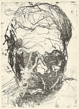 Artist: b'PARR, Mike' | Title: b'Pool of blood 5.' | Date: 1988 | Technique: b'softground etching and aquatint, printed in black ink, from one zinc plate'