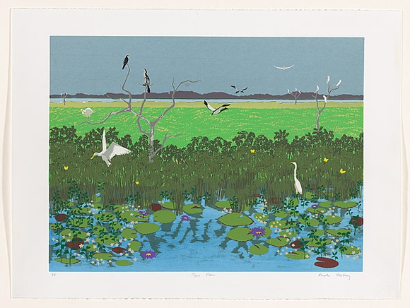 Artist: b'Newberry, Angela.' | Title: b'Flood plain.' | Date: c.1996 | Technique: b'screenprint, printed in colour, from multiple stencils'