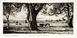 Artist: b'McGrath, Raymond.' | Title: b'Windsor across the River' | Date: 1923 | Technique: b'etching'