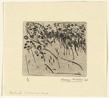 Artist: b'WALKER, Murray' | Title: b'Behind Kanumbra (Victoria)' | Date: 1963 | Technique: b'drypoint, printed in black ink, from one plate'