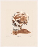 Artist: b'Quilty, Ben.' | Title: b'Fang.' | Date: 2005 | Technique: b'etching and aquatint, printed in brown ink, from one plate'