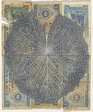 Artist: HALL, Fiona | Title: Nymphaea stellata - Waterlily (Sri Lankan currency) | Date: 2000 - 2002 | Technique: gouache | Copyright: © Fiona Hall