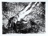 Artist: BOYD, Arthur | Title: Diving nude and frog over a dark pond. | Date: 1962-63 | Technique: etching and aquatint, printed in black ink, from one plate | Copyright: Reproduced with permission of Bundanon Trust