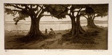 Artist: b'Dwyer, Ella.' | Title: b'A summer afternoon.' | Date: c.1930 | Technique: b'etching and aquatint, printed in brown ink with plate-tone, from one plate'