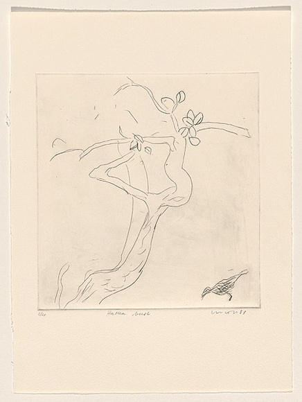 Title: b'Hakea bush' | Date: 1983 | Technique: b'drypoint, printed in black ink, from one perspex plate'