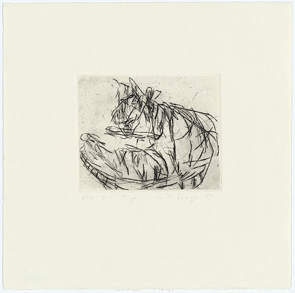 Artist: b'Bragge, Anita.' | Title: b'Tiger' | Date: 1997, April | Technique: b'etching, printed in black ink from one plate'