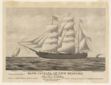 Title: b'Bark Catalpa of New Bedford' | Date: 1876 | Technique: b'lithograph, printed in black ink, form one stone'