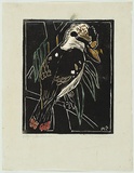 Artist: b'PRESTON, Margaret' | Title: b'Kookaburra' | Date: 1930 | Technique: b'woodcut, printed in black ink, from one block; hand-coloured' | Copyright: b'\xc2\xa9 Margaret Preston. Licensed by VISCOPY, Australia'