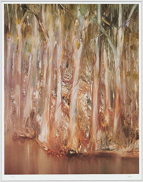 Artist: b'Nolan, Sidney.' | Title: b'(Trees by a reddish river 10th Jan 1965).' | Technique: b'photo-offset lithogaph, printed in colour'