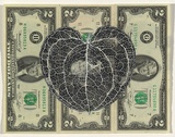 Artist: HALL, Fiona | Title: Smilax hispida (American currency) | Date: 2000 - 2002 | Technique: gouache | Copyright: © Fiona Hall