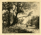 Artist: Farmer, John. | Title: Trees on a bank. | Date: c.1960 | Technique: softground etching, printed in black ink, from one plate