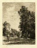 Artist: b'Farmer, John.' | Title: b'Landscape.' | Date: 1956 | Technique: b'softground etching, printed in brown ink, from one  plate'