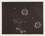 Artist: COLEING, Tony | Title: Battlefield (wing and two large stars). | Date: 1986 | Technique: linocut, printed in black ink, from one block