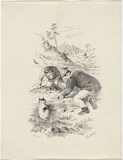 Artist: GILL, S.T. | Title: Fossicking. | Date: 1852 | Technique: lithograph, printed in black ink, from one stone