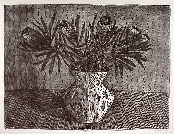 Artist: b'Money, John.' | Title: b'Proteas' | Date: 1995, October | Technique: b'lithograph, printed in black ink, from one stone'