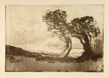 Artist: b'LONG, Sydney' | Title: b'A Cornish landscape' | Date: (1919) | Technique: b'softground, aquatint' | Copyright: b'Reproduced with the kind permission of the Ophthalmic Research Institute of Australia'
