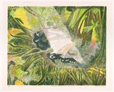 Artist: b'Robinson, William.' | Title: b'Creation landscape - Water and Land II' | Date: 1991 | Technique: b'lithographs, printed in colour, from multiple plates'