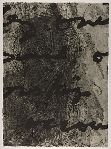 Artist: b'PARR, Mike' | Title: b'Language and chaos 9.' | Date: 1990 | Technique: b'drypoint, electric grinder and burnishing, printed in black ink, from one copper plate; over printed with lift ground aquatint, printed in black ink, from one steel plate'